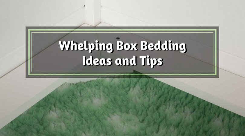 Whelping supplies checklist - goYo Pets, Whelping Box